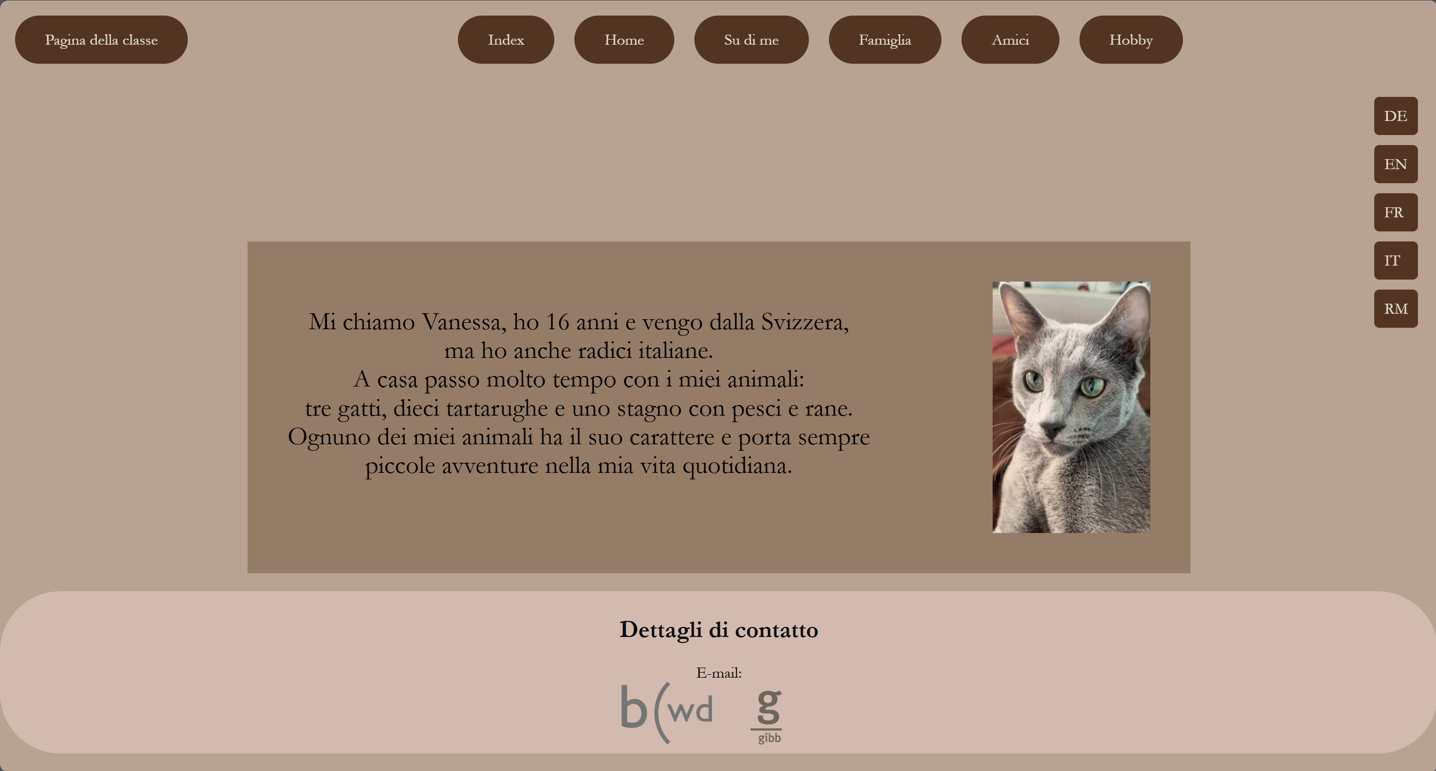 Screenshot meine erste Website